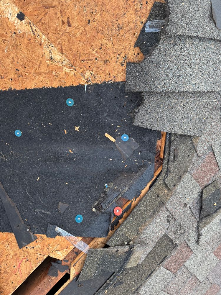 All Photos for FNS Exterior Consulting LLC, Powered By Live OAK in Cumming, GA