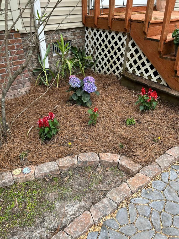 Landscaping for Southeast Aquatic Land Services LLC  in Waycross, GA