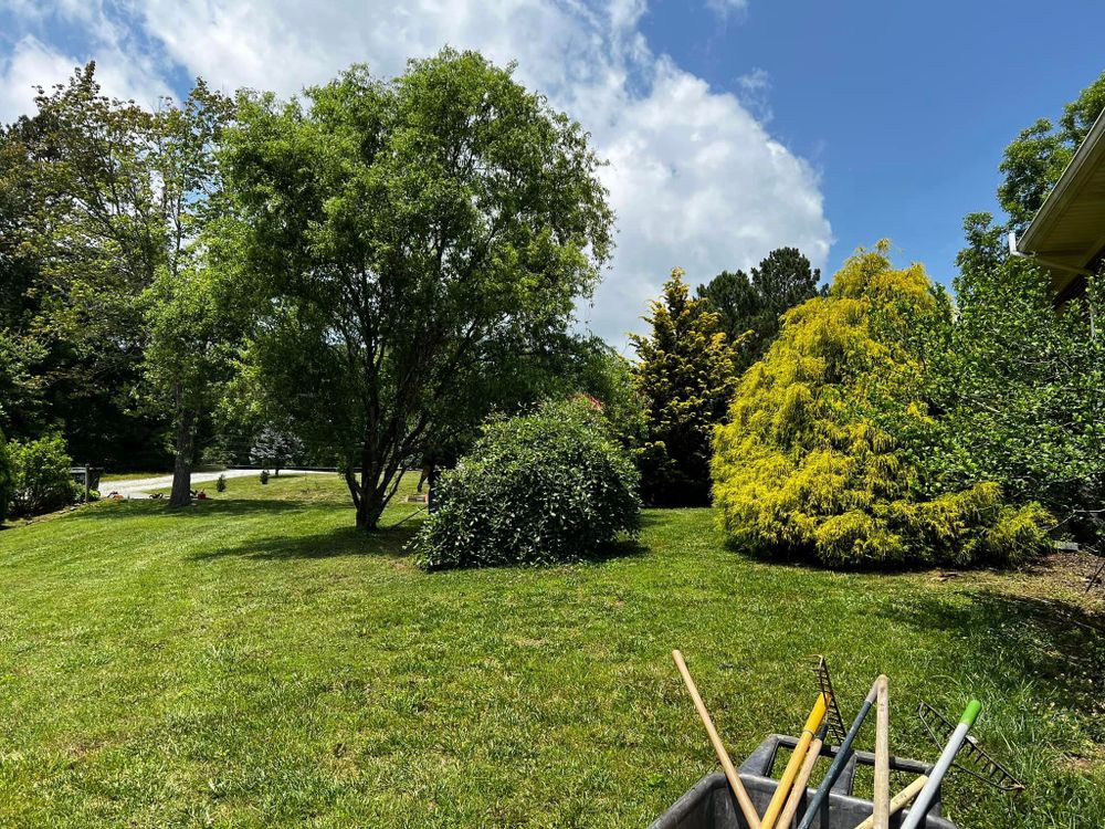 Our Tree Trimming service offers professional and efficient tree maintenance solutions for homeowners, ensuring healthy and aesthetically pleasing trees in your property. for Arbor Eden Creations in Winston-Salem, NC