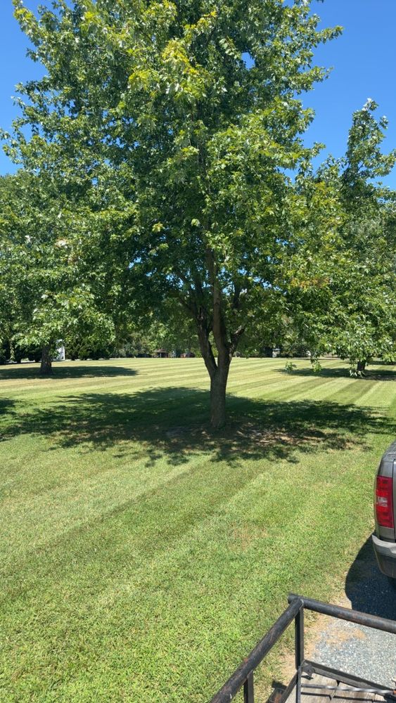 All Photos for Bew’s Lawn Care in Girdletree, MD