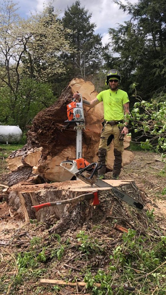 All American Tree Services LLC team in Dallas, PA - people or person