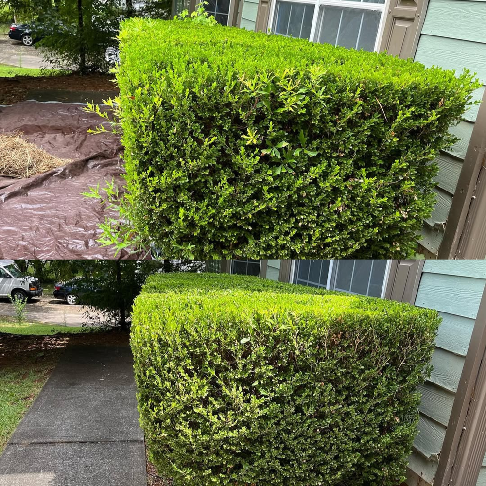 Lawn Mowing & Maintenance for Drake Lawn Care in Atlanta, GA