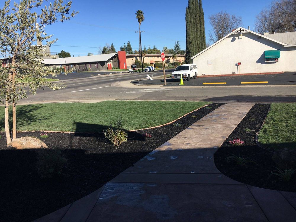 All Photos for Blue Water Landscape Services in El Dorado Hills, CA