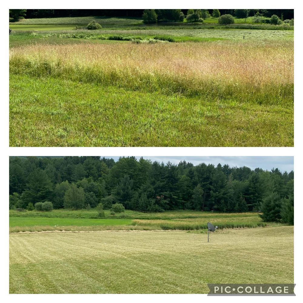 All Photos for Bishop’s Property Maintenance in Franklin, VT