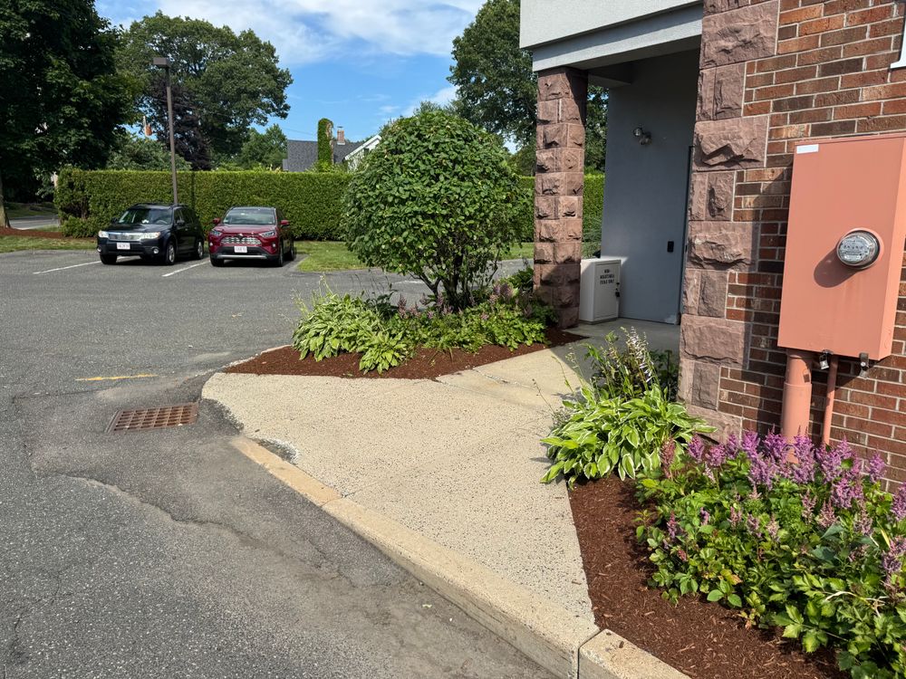 All Photos for Adams Landscaping in Springfield, MA