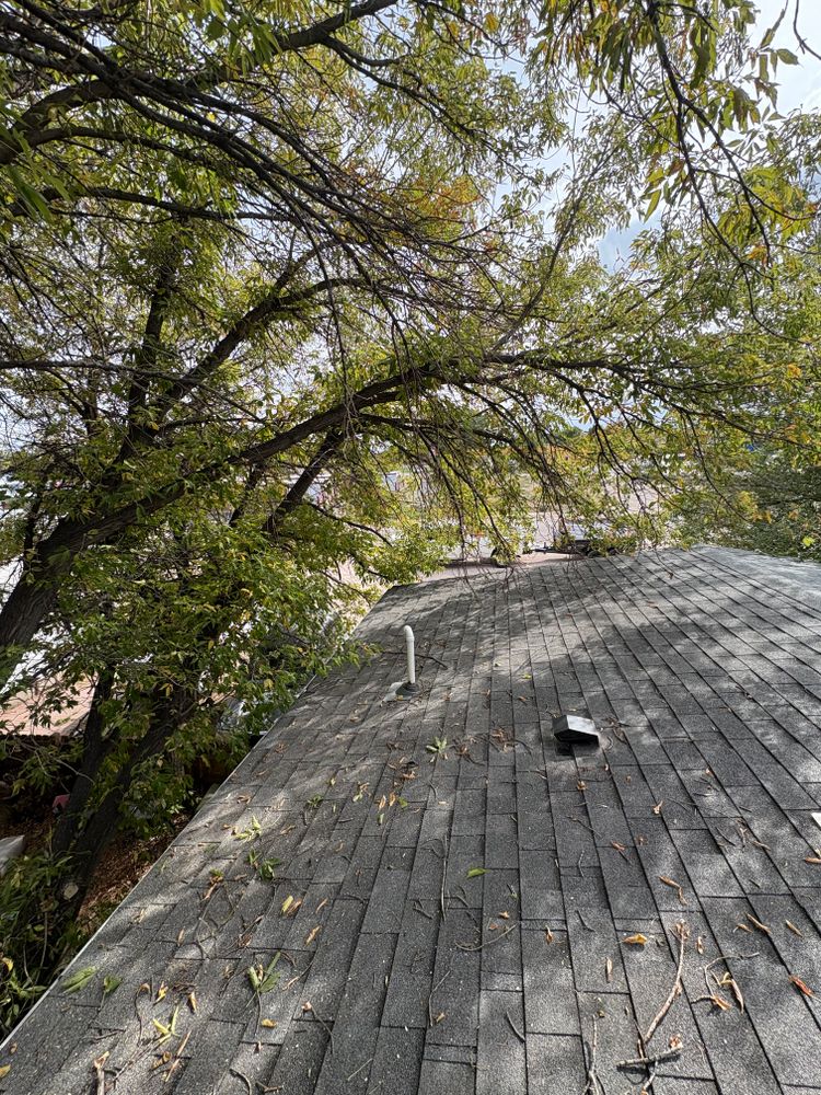 All Photos for Elevated Tree Care in Gillette, WY