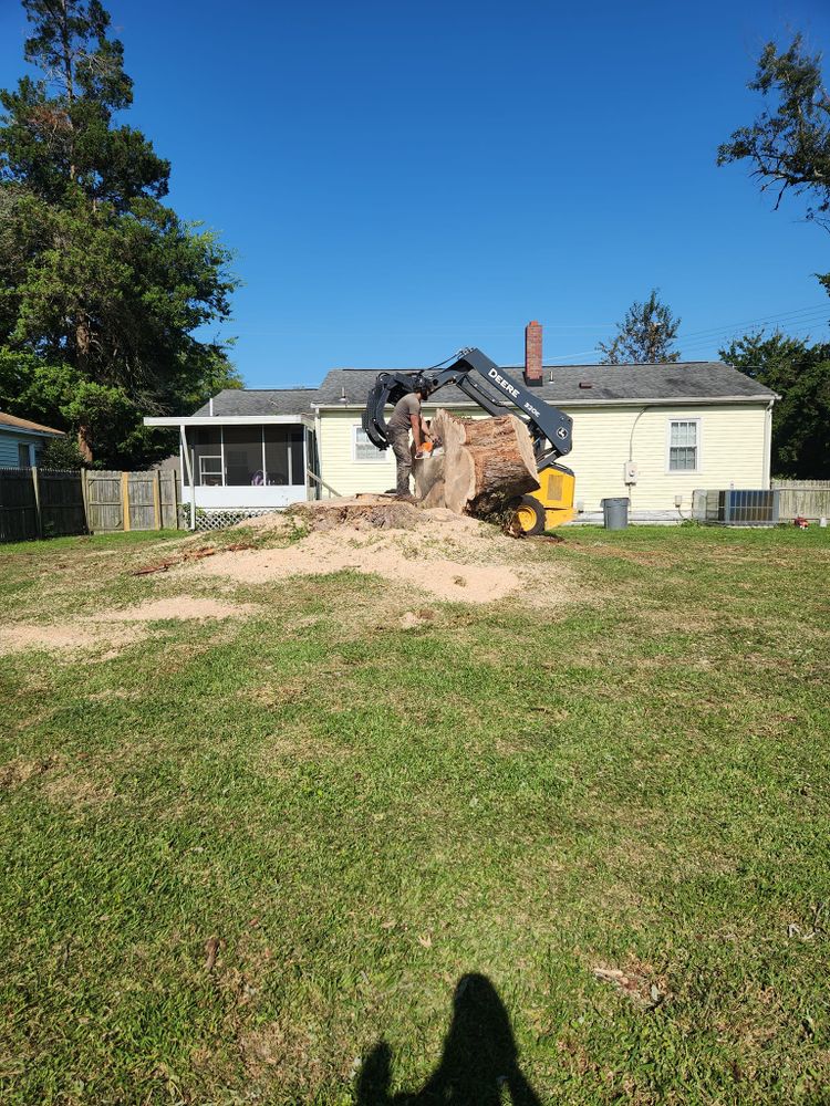 All Photos for Stumpbusters Tree Service in Louisa County, VA