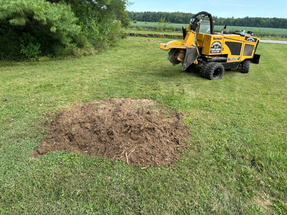 Conrad's Stump Removal team in Columbus, IN - people or person