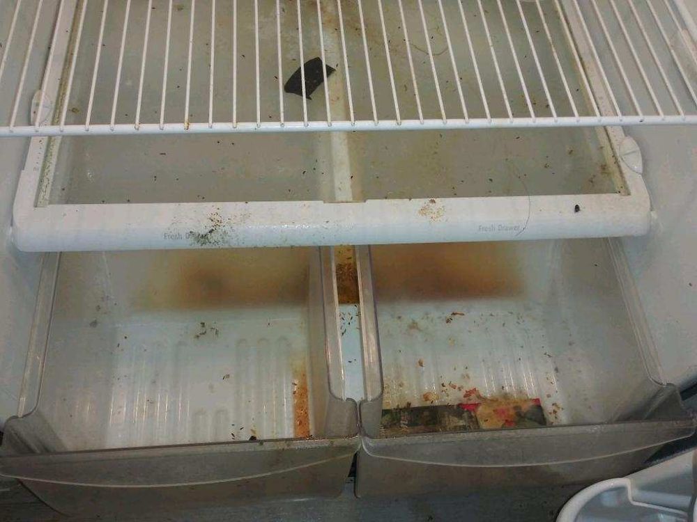 All Photos for Mintz Cleaning Services LLC in Columbus, GA