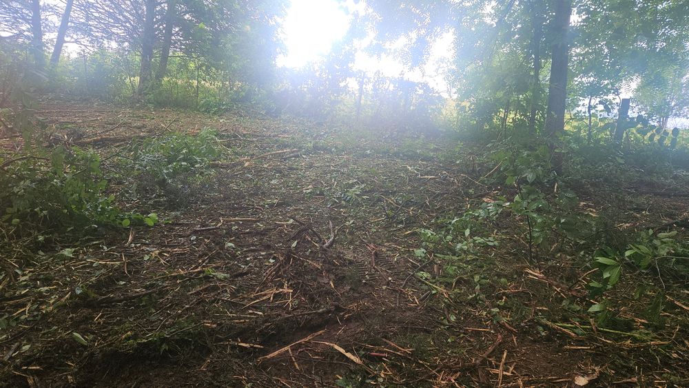 All Photos for B&B Land Management in Jamestown, TN