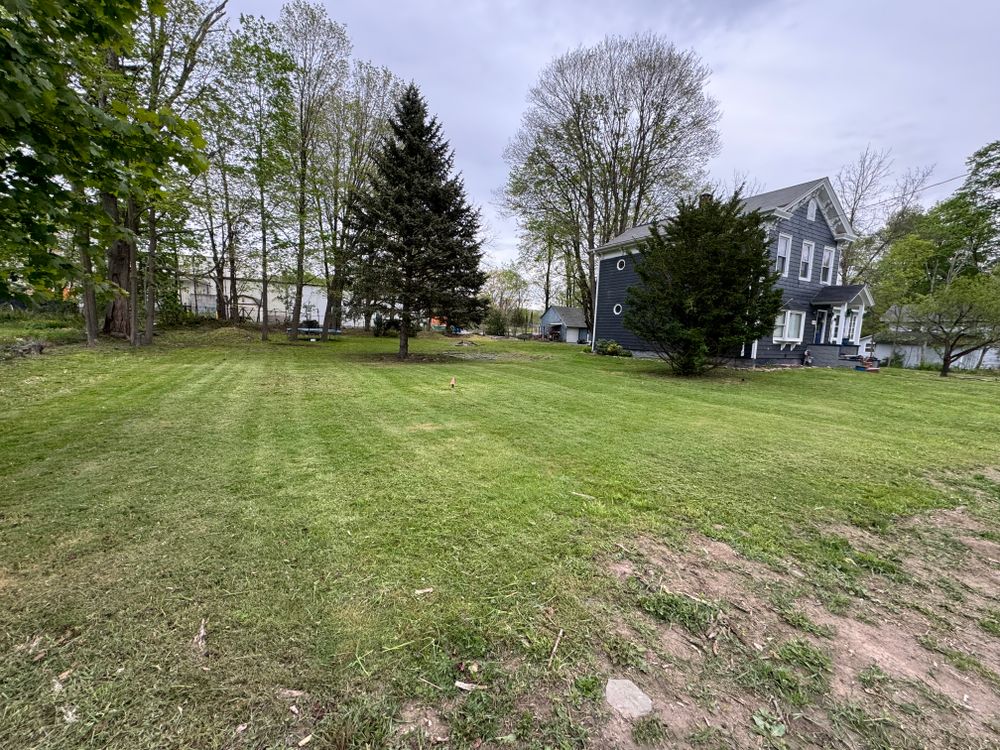 Lawn Care for Triscape LLC  in Port Jervis, NY