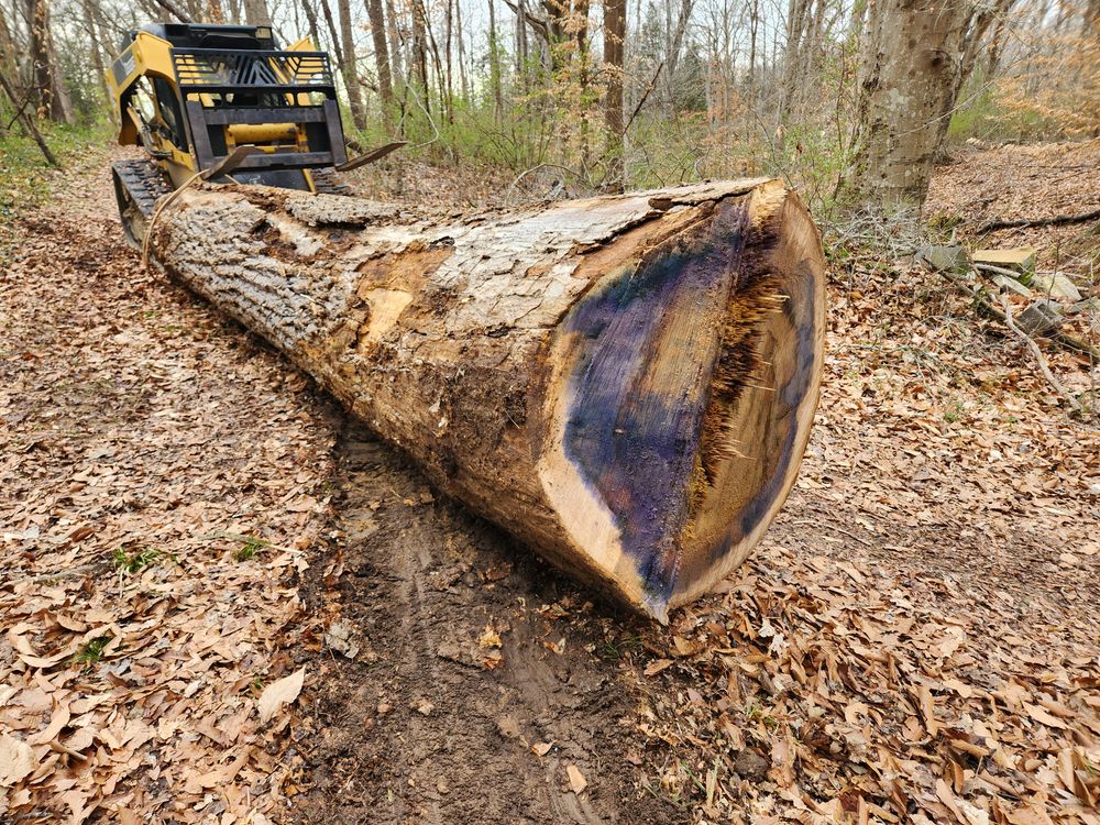All Photos for Smith Tree Experts in Palmyra, VA