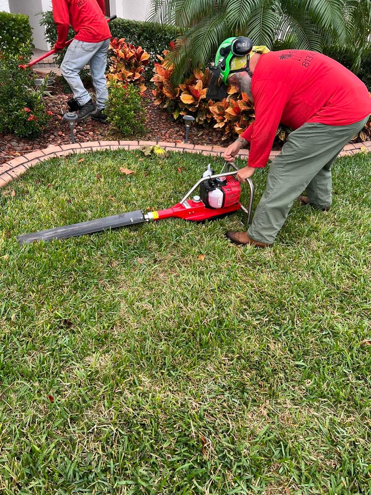Tree Removal for TREE BOYS in Ruskin, FL