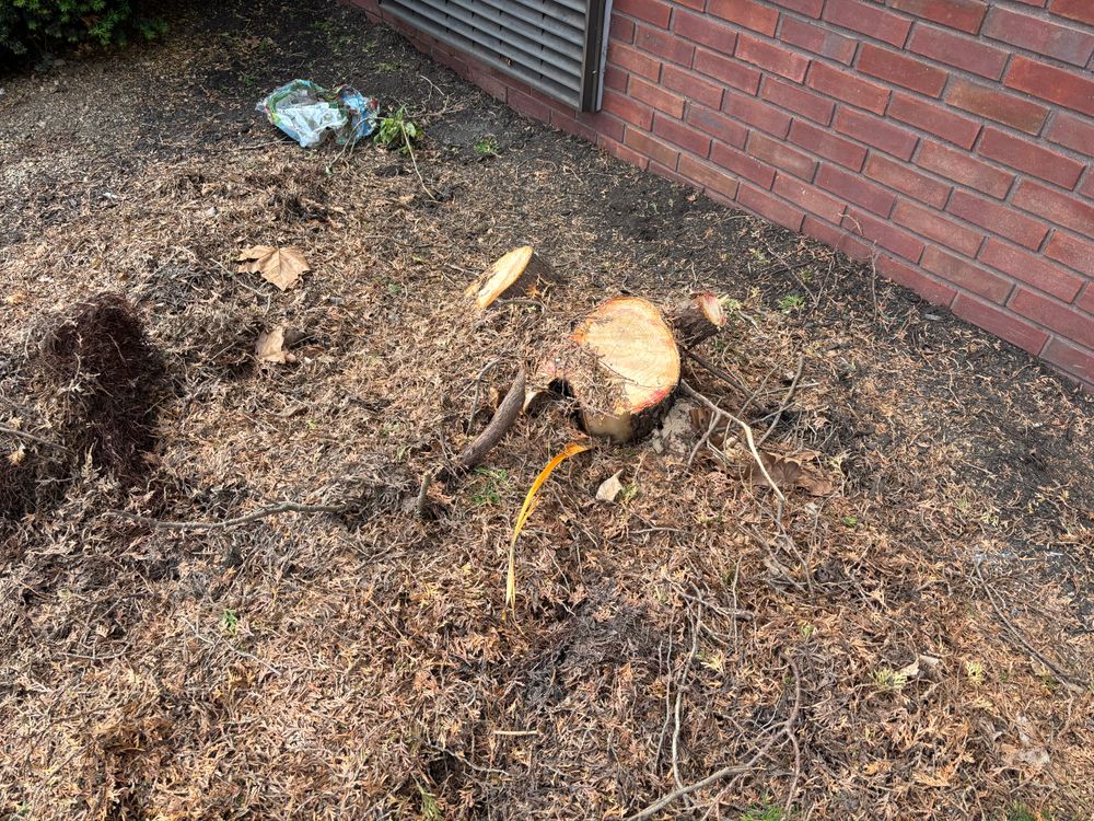 All Photos for Conrad's Stump Removal in Columbus, IN