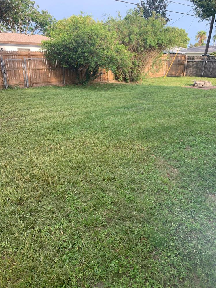 All Photos for Mitchell Lawn Service in Odessa, FL