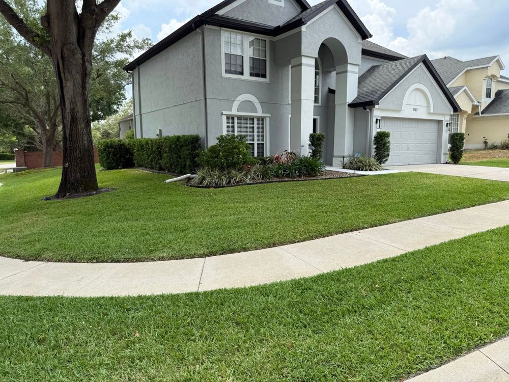 Transform your outdoor space with our professional sod installation service. We ensure a lush, green lawn with expertly laid sod, tailored to enhance your home’s curb appeal and increase property value. for Amerigrown Tree And Lawn in Apopka, FL