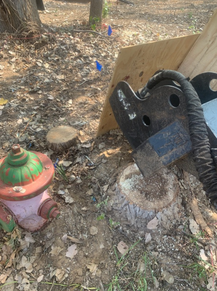 All Photos for Teague Trees and Land Clearing in Rendon, TX