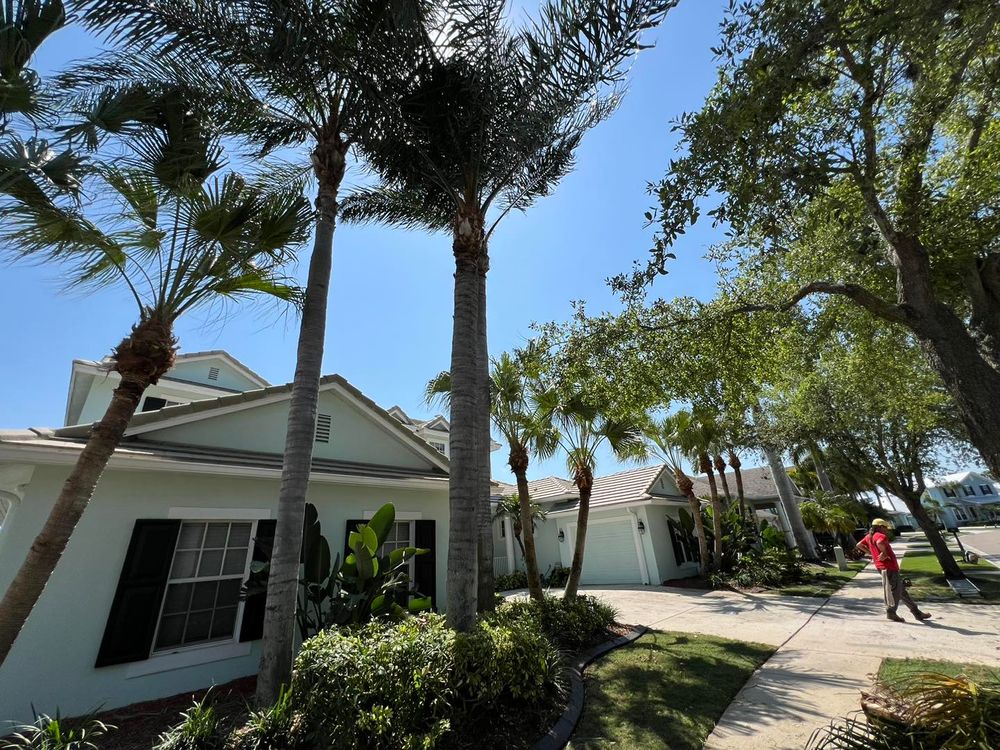 Tree Removal for TREE BOYS in Ruskin, FL