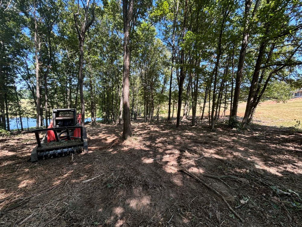 All Photos for Gregory Grass and Lawn in Lafayette, TN