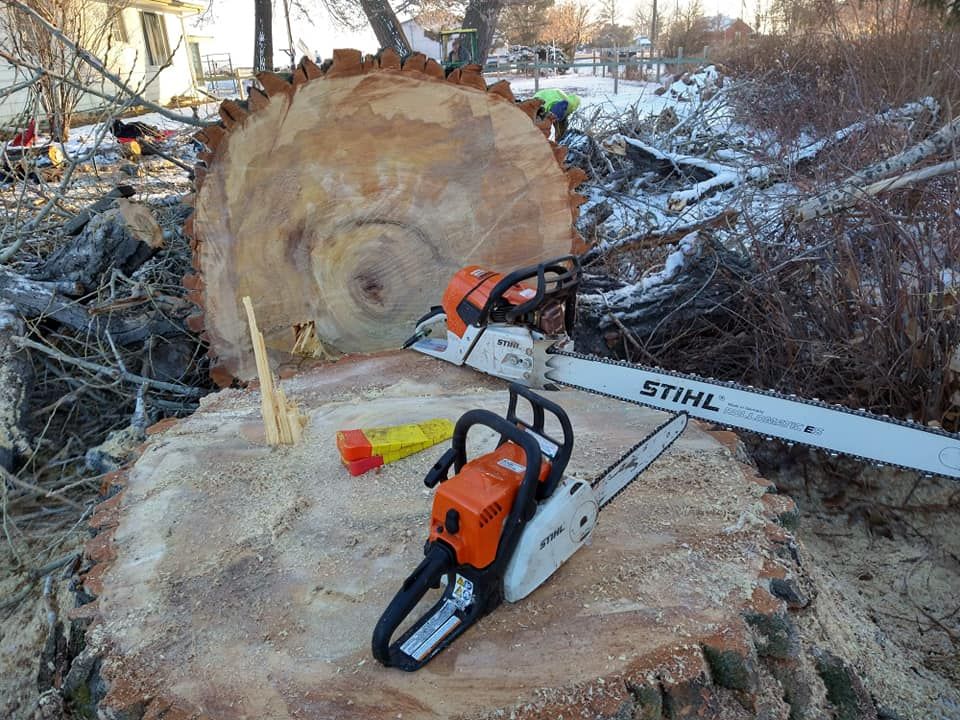 All Photos for Sloan Tree Service in Aurora, CO