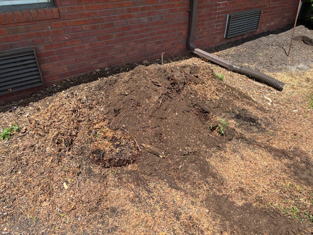 All Photos for Conrad's Stump Removal in Columbus, IN