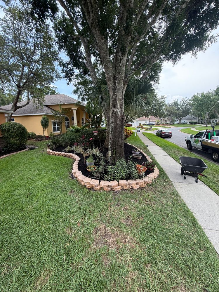 All Photos for Vanic's Landscaping in South Daytona, FL