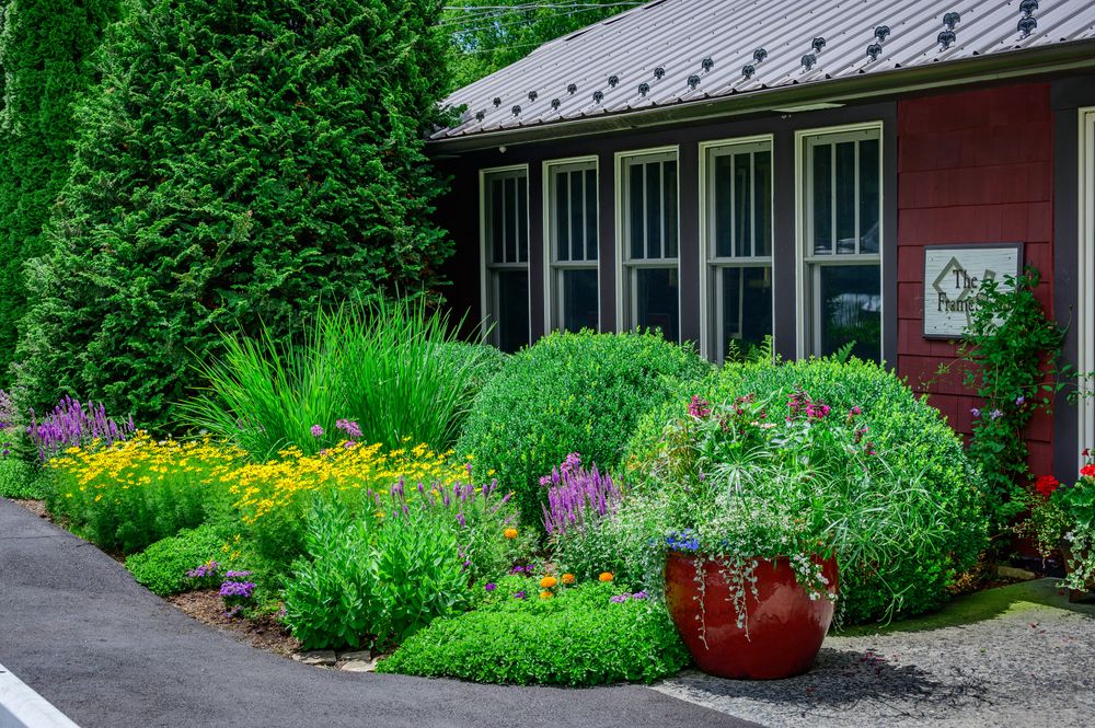 All Photos for Sustainable Lawn and Landscape in Banner Elk, NC