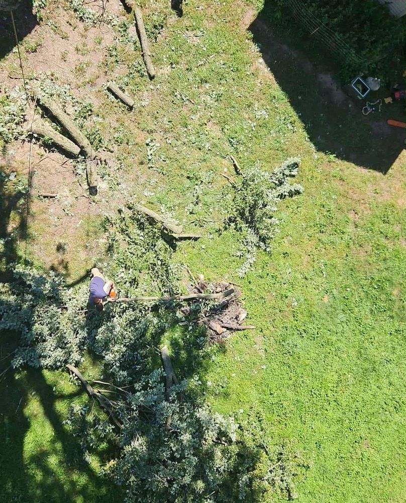 All Photos for Highborn Tree Service in Wheatfield, IN