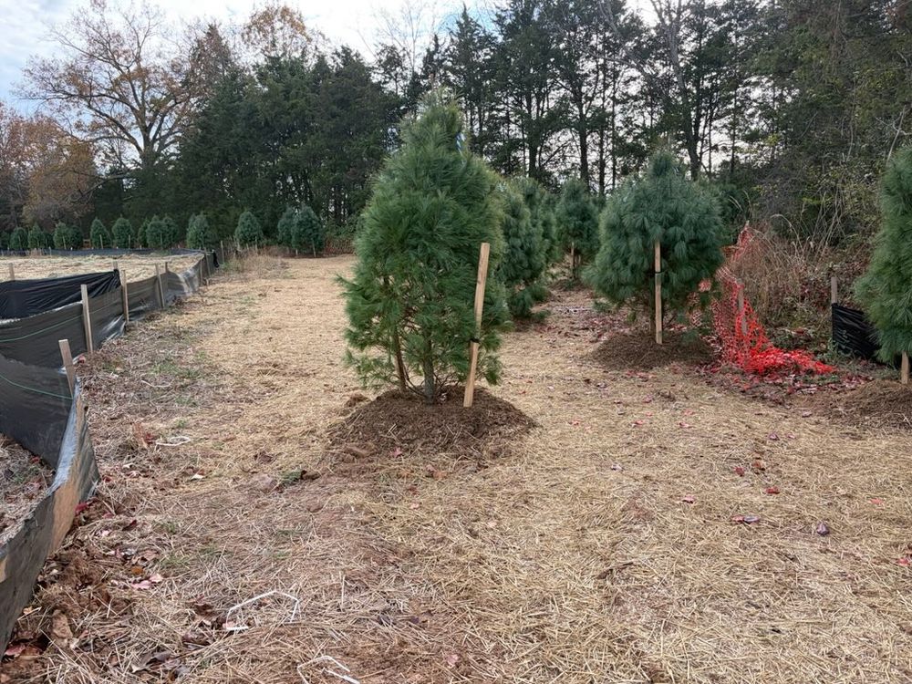 All Photos for 9999 Building and Renovation LLC in Warrenton, VA