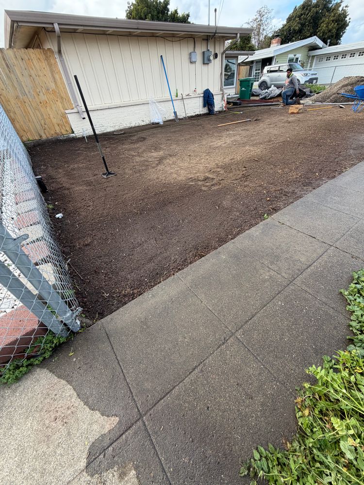 All Photos for CBA Landscaping in Hayward, CA