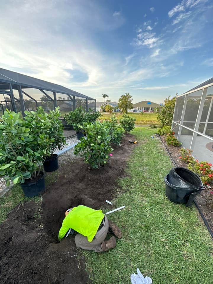 Our professional planting service offers homeowners expertly selected trees and shrubs, enhancing your landscape's beauty and health while ensuring optimal growth conditions for a vibrant outdoor environment. Enjoy lush, sustainable greenery year-round. for MX Trees LLC in Englewood, FL
