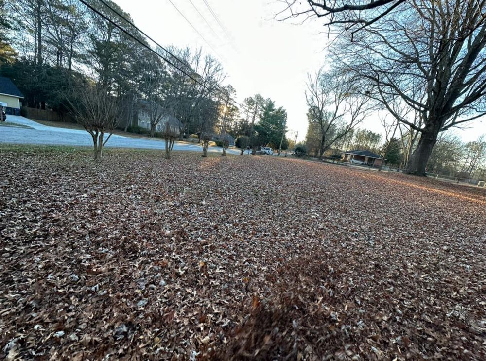 Our Fall Clean Up service prepares your yard for winter by removing leaves, trimming plants, and ensuring a neat outdoor space. Trust our experts to maintain your landscape's health and beauty. for Brumblebee's Landscaping & Cleaning Services in Loganville, GA