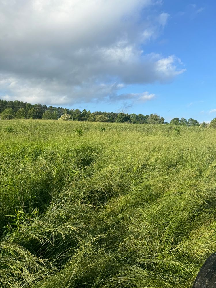 All Photos for Under Grace Transport and Grading in Marble Hill, GA