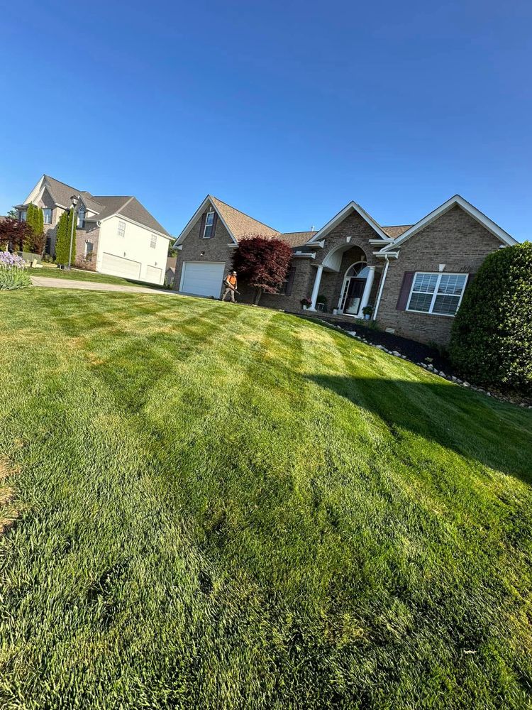 All Photos for Wiles Lawn and Landscaping in Powell, TN