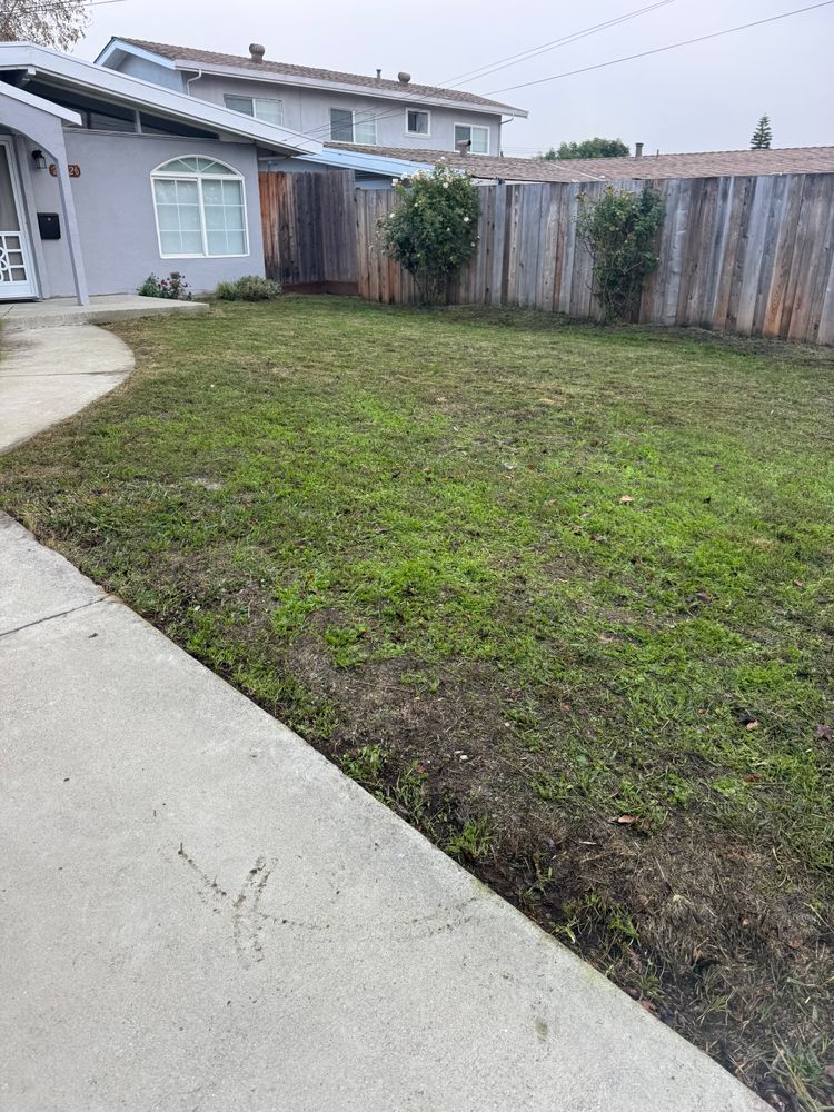 All Photos for CBA Landscaping in Hayward, CA