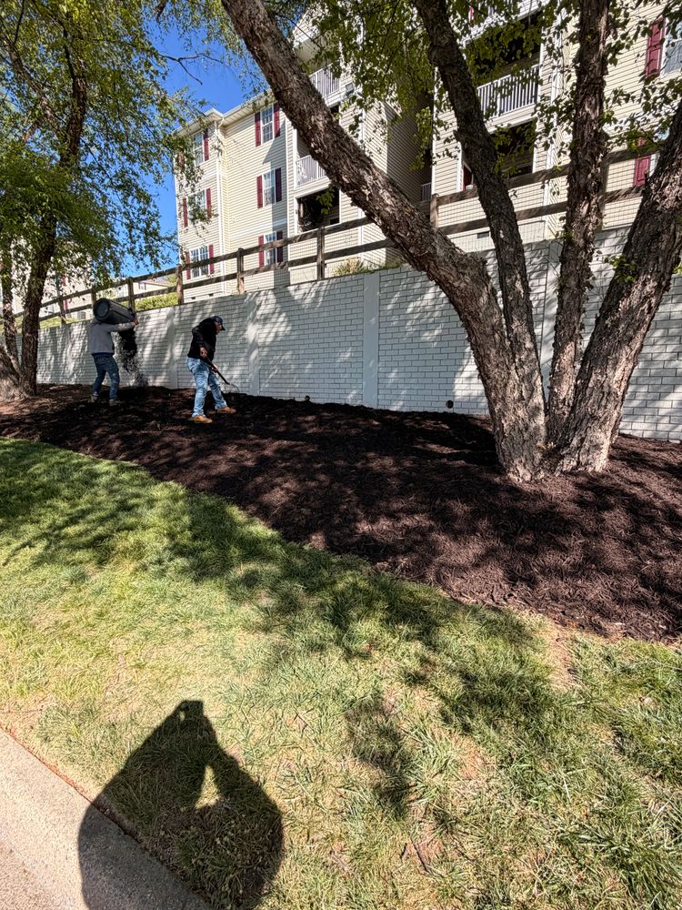All Photos for Valencia’s Lawncare in Charlottesville, VA