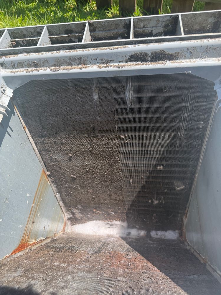 All Photos for Coastal Comfort in Galveston, TX