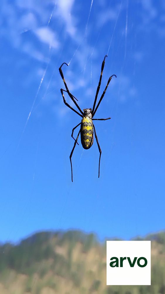 All Photos for Arvo Pest Control in Sandy, UT