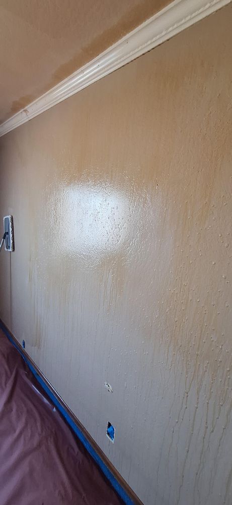 All Photos for Velasco's Painting in Sacramento,  CA