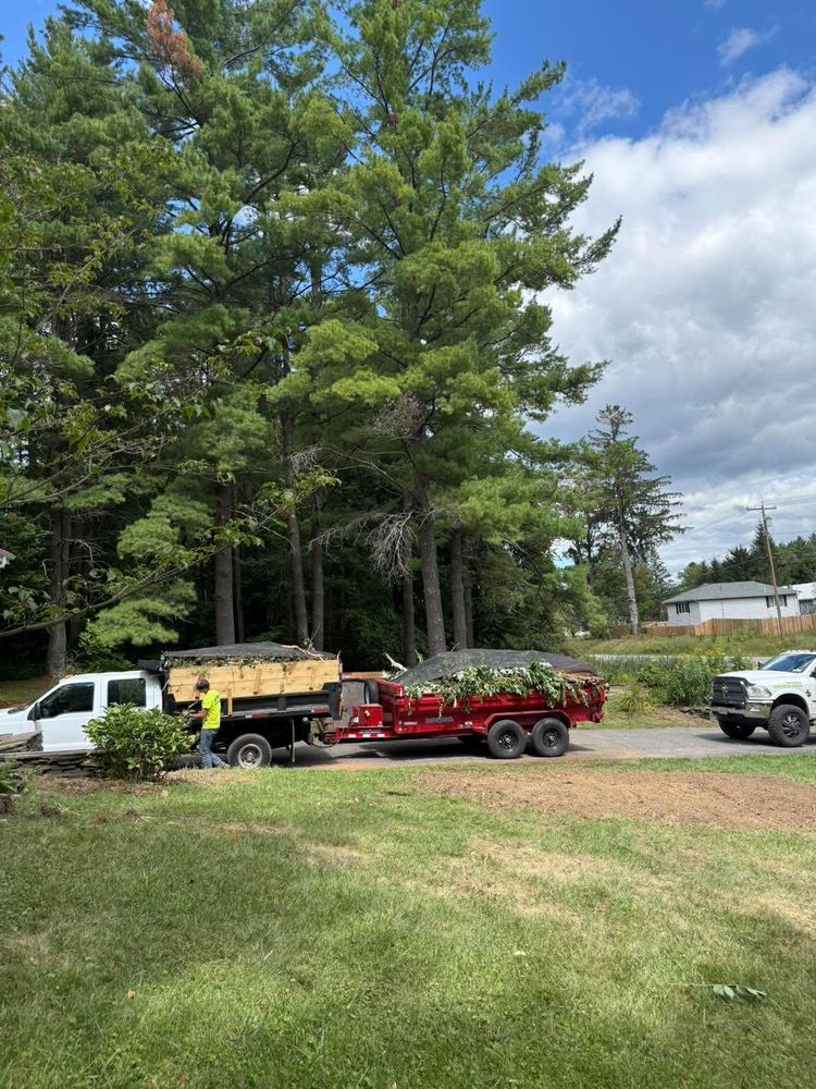 All Photos for Sterlings Tree Removal in Cobleskill, New York