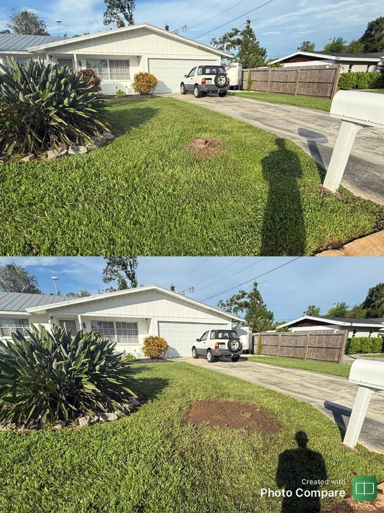 All Photos for Adam's Tree and Stump Care in Sarasota, FL