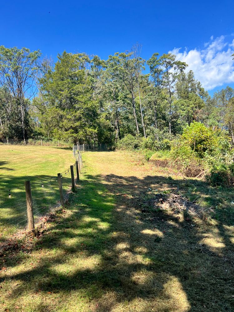 All Photos for Valencia’s Lawncare in Charlottesville, VA