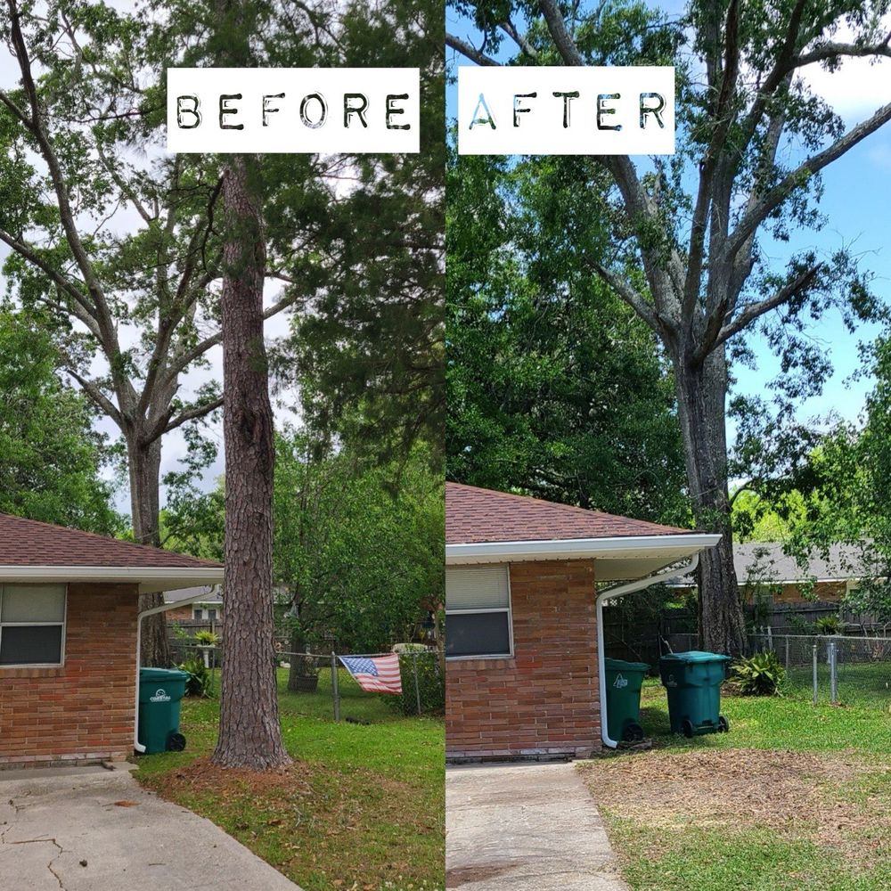 Our stump removal service ensures a clean and visually appealing landscape by grinding down tree stumps left behind after tree removal, eliminating tripping hazards and allowing for seamless replanting or landscaping. for David's Tree Service in Slidell, LA