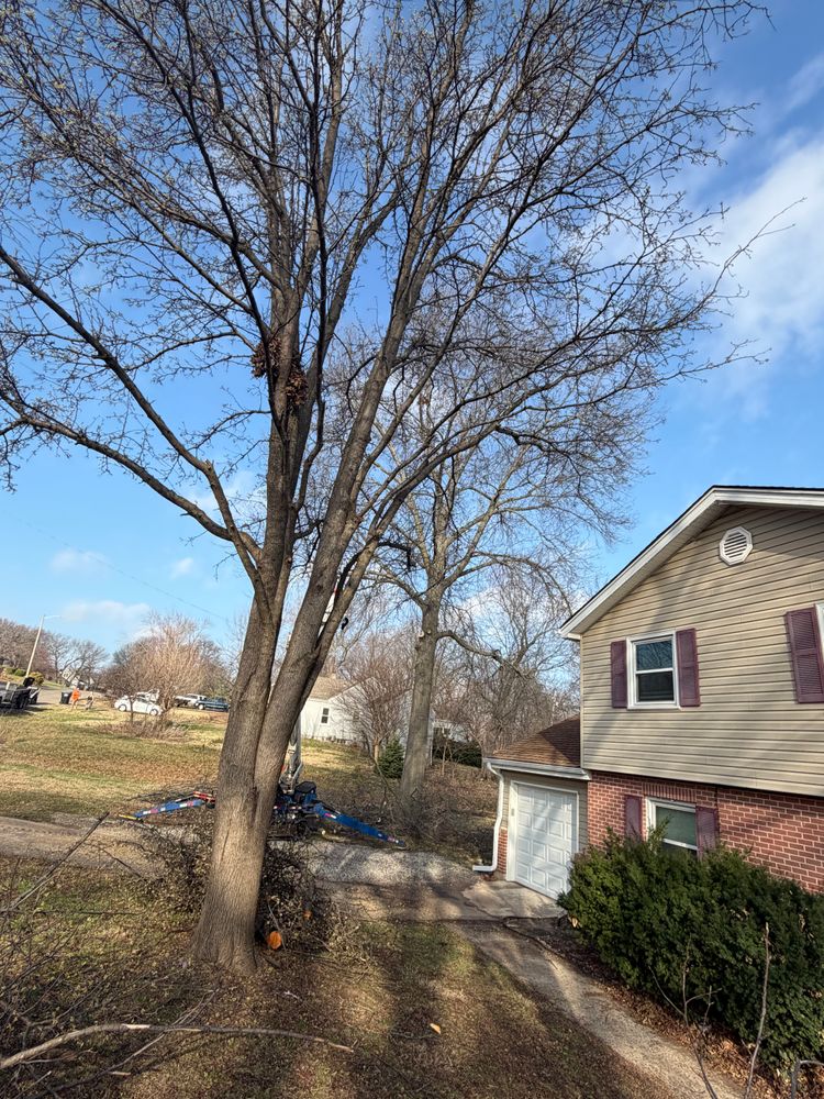 All Photos for Cross Family Tree Service in Kearney, MO