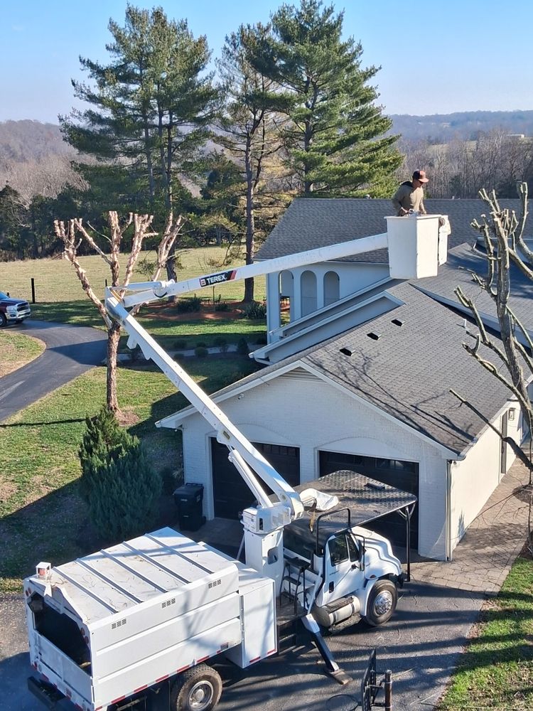 All Photos for Optimum Tree Service And Landscaping in Bowling Green, KY