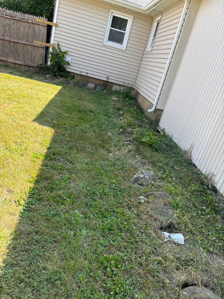 Landscaping for Cena Landscaping in Rockford, IL