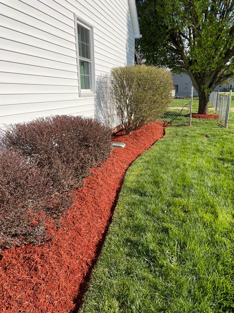 All Photos for Transforming Landscaping & Tree Service in Bowling Green, KY