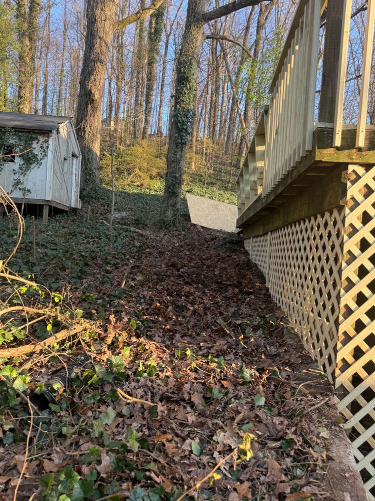 All Photos for CM Developments in Knoxville, TN
