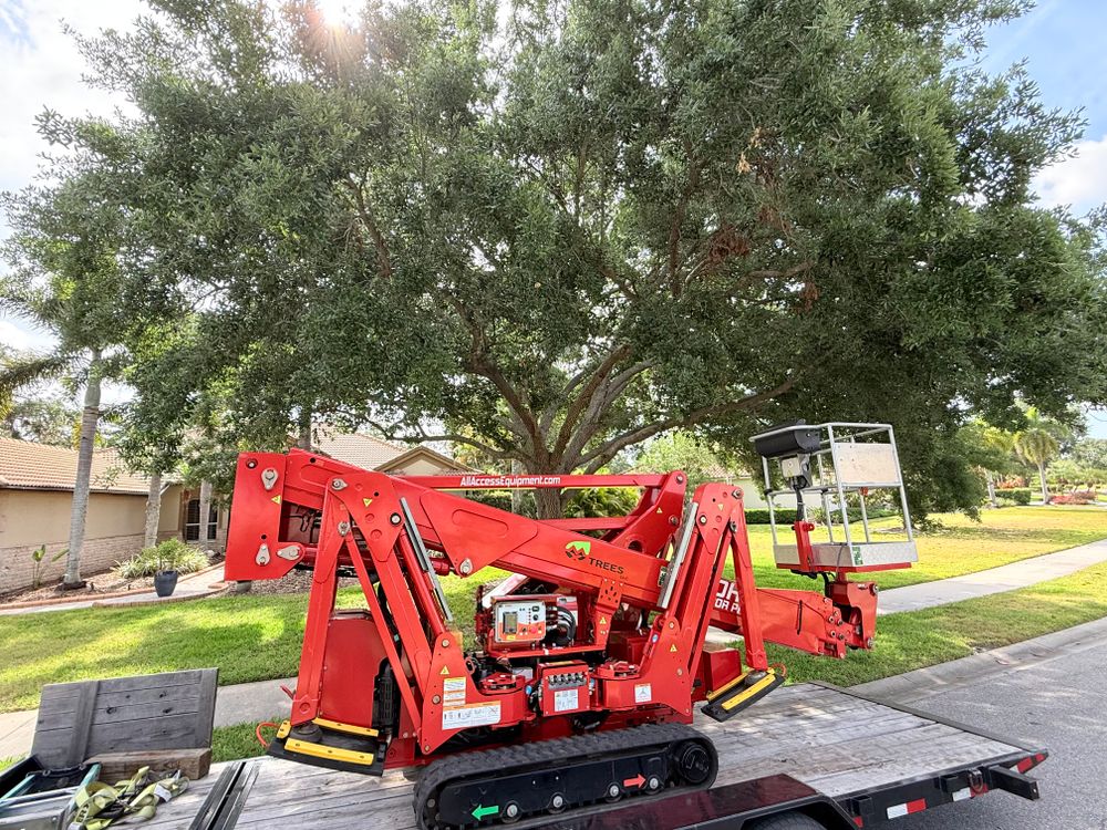 Our Tree Trimming service enhances your property's safety and aesthetics by expertly pruning branches, promoting healthy growth, increasing sunlight exposure, and preventing potential hazards from overgrown, crossing, or weakened limbs. for MX Trees LLC in Englewood, FL