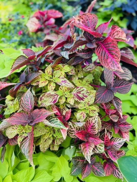 All Photos for Rustic Roots Landscaping in Austin, TX